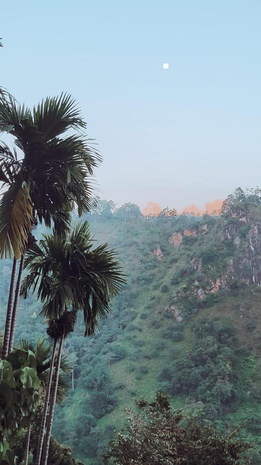 Nature Green Hotels On Rock Home Ella Bagian luar foto