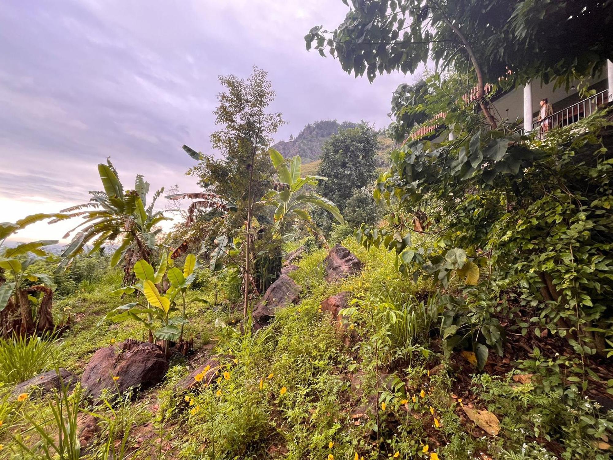 Nature Green Hotels On Rock Home Ella Bagian luar foto