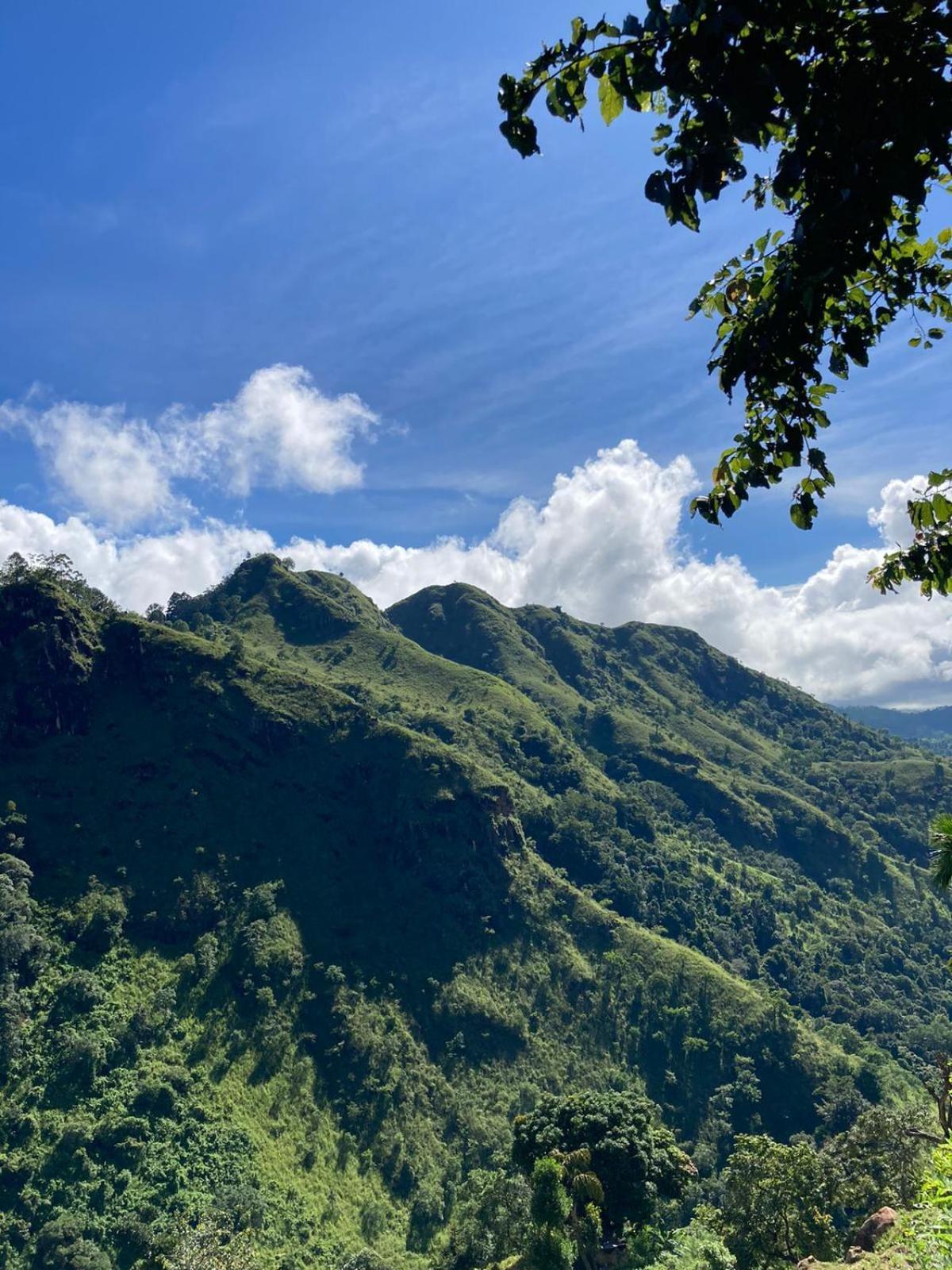 Nature Green Hotels On Rock Home Ella Bagian luar foto