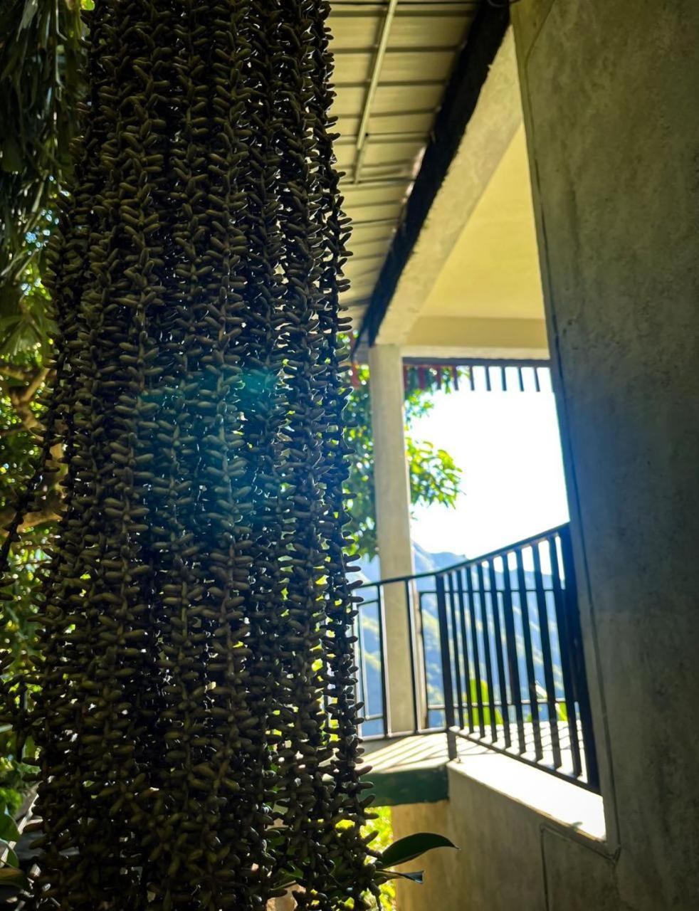 Nature Green Hotels On Rock Home Ella Bagian luar foto