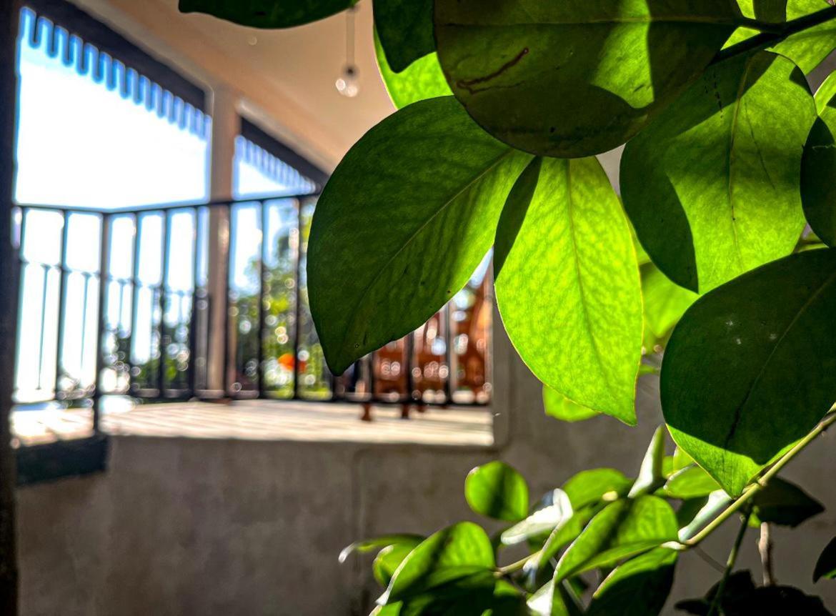 Nature Green Hotels On Rock Home Ella Bagian luar foto