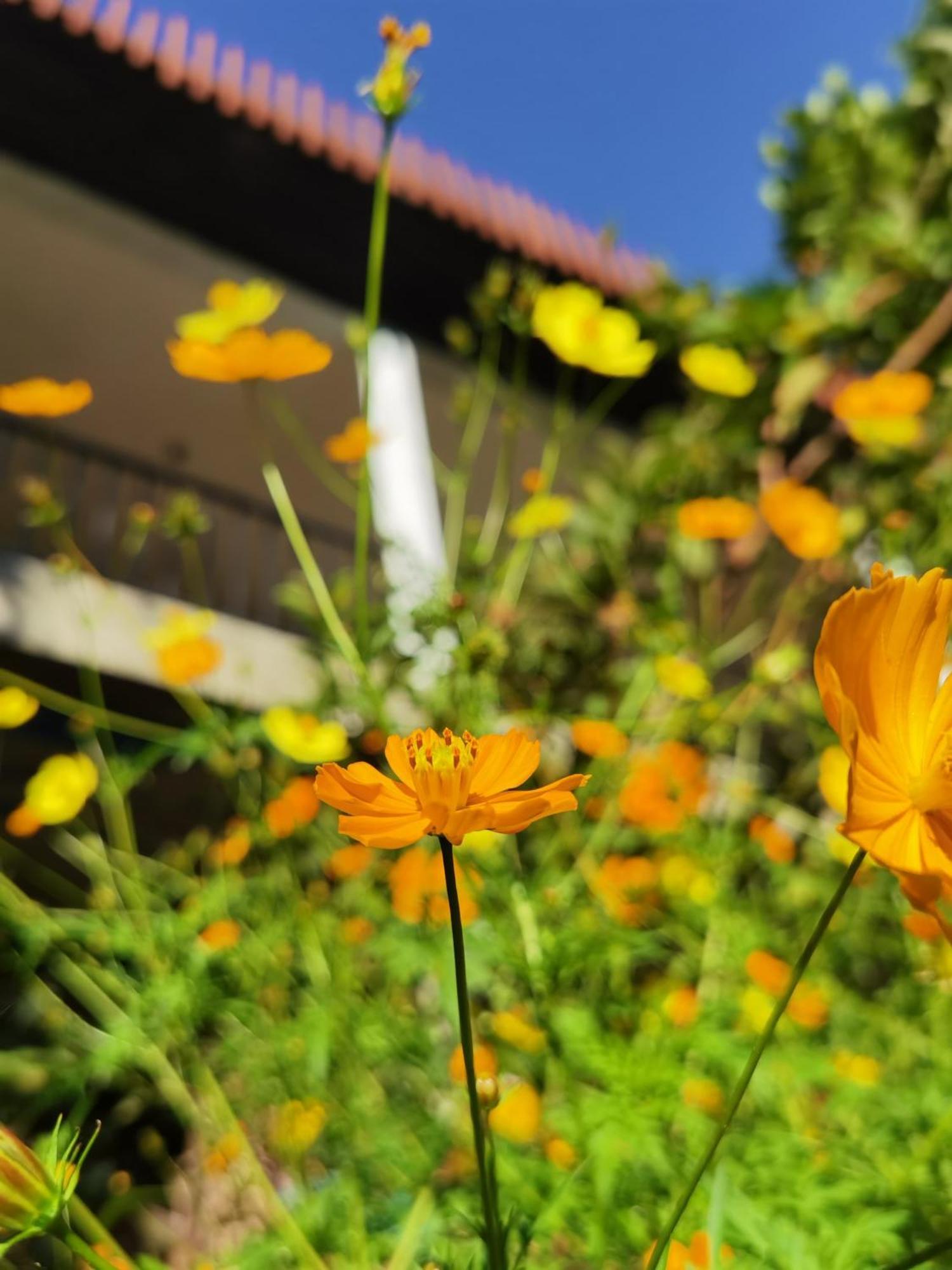 Nature Green Hotels On Rock Home Ella Bagian luar foto