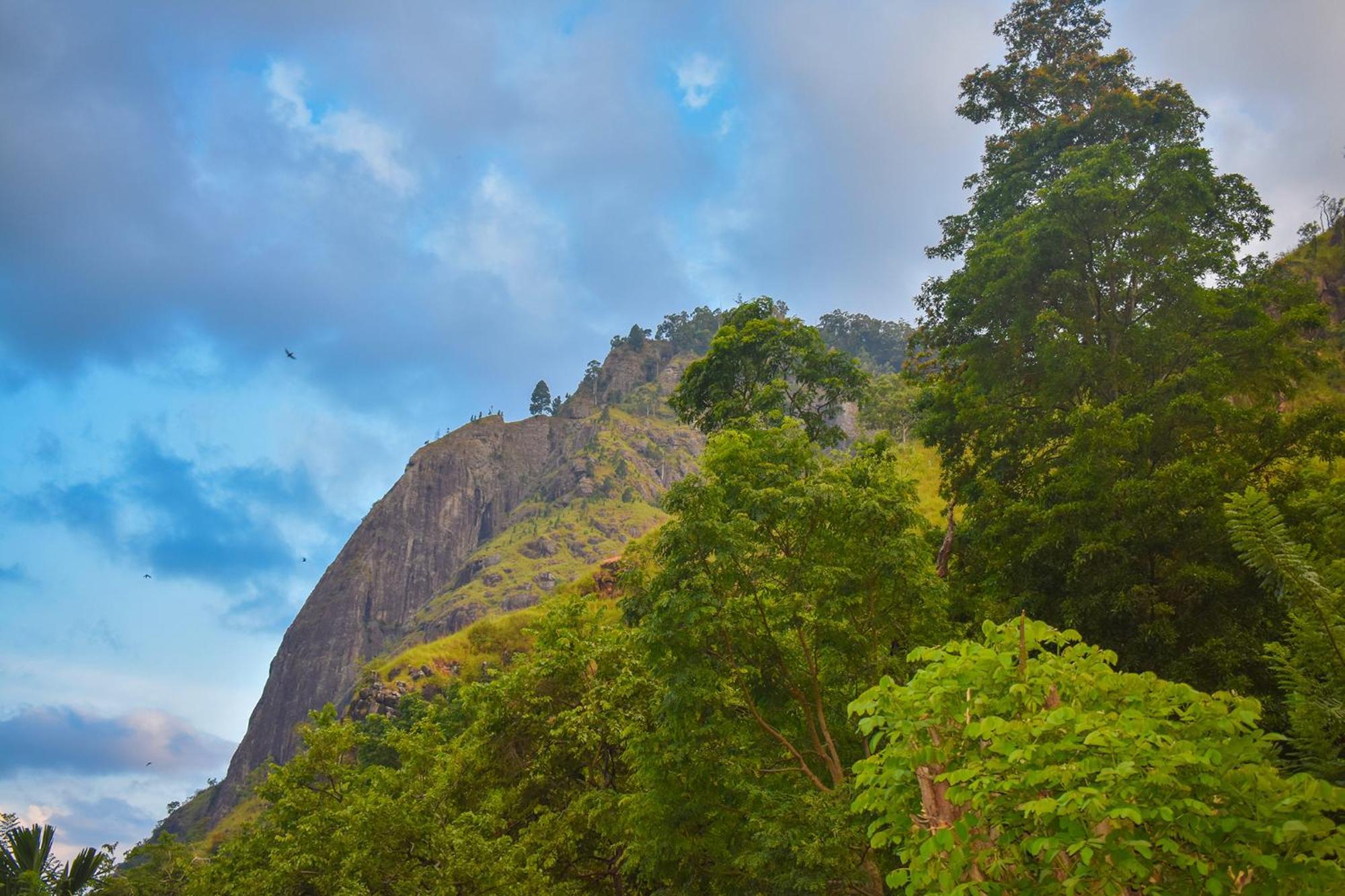 Nature Green Hotels On Rock Home Ella Bagian luar foto